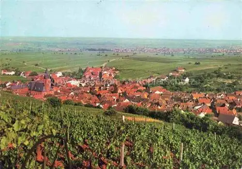 AK / Ansichtskarte St Martin Pfalz Panorama