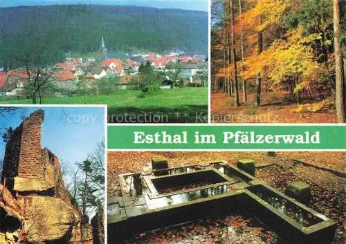 AK / Ansichtskarte Esthal Panorama Ruine Brunnen Waldpartie
