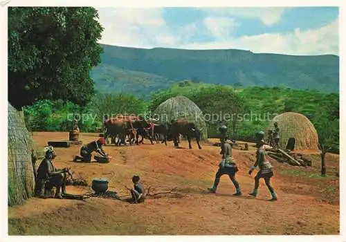 AK / Ansichtskarte Natal Suedafrika Southafrica RSA Zulus at Home in the Bantu Reserve bounded by the Nagle Dam and Valley of 1000 Hills