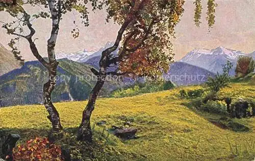 AK / Ansichtskarte Fetan_Ftan_GR Landschaftspanorama Alpen 