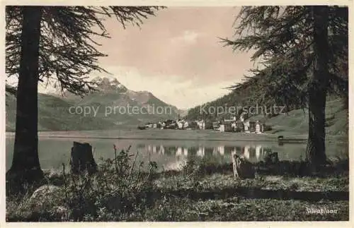 AK / Ansichtskarte Silvaplana_GR Partie am See Silvaplana_GR