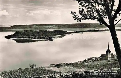 AK / Ansichtskarte Ligerz_Bielersee_BE Panorama Blick auf St. Petersinsel Bielersee 