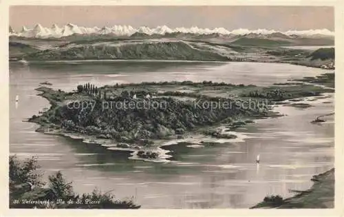 AK / Ansichtskarte Erlach_Bielersee_BE Panorama St. Petersinsel Ile de St. Pierre Alpen Kuenstlerkarte 