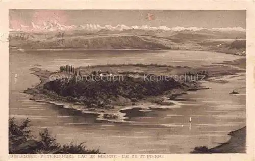 AK / Ansichtskarte Erlach_Bielersee_BE Panorama St. Petersinsel Ile de St. Pierre Alpen Kuenstlerkarte 