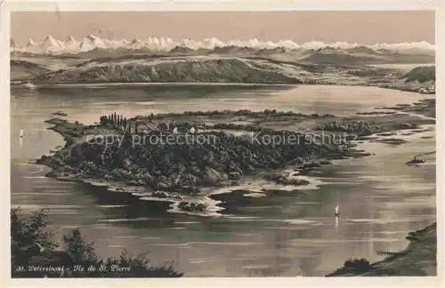 AK / Ansichtskarte Erlach_Bielersee_BE Panorama St. Petersinsel Ile de St. Pierre Alpen Kuenstlerkarte 