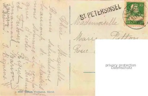 AK / Ansichtskarte Erlach_Bielersee_BE Panorama St. Petersinsel Ile de St. Pierre Alpen Kuenstlerkarte 