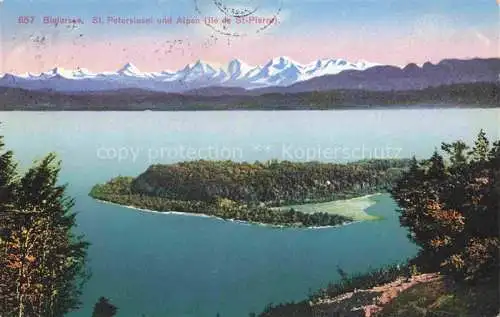 AK / Ansichtskarte St_Petersinsel_Sankt_Petersinsel_Erlach_BE und die Alpen 