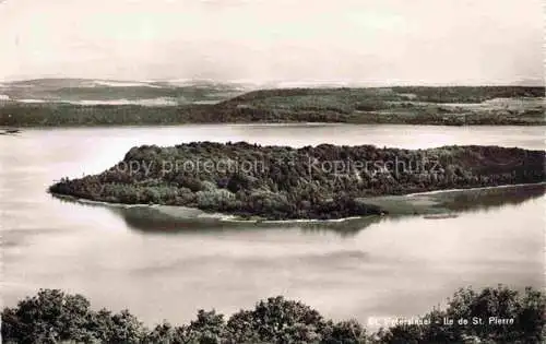 AK / Ansichtskarte Erlach_Bielersee_BE Panorama St. Petersinsel Ile de St. Pierre 