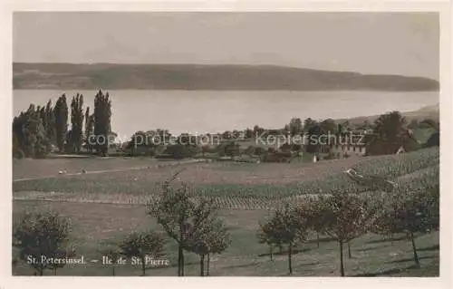 AK / Ansichtskarte Erlach_Bielersee_BE Auf der St. Petersinsel Ile de St. Pierre 