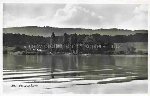 AK / Ansichtskarte Erlach_Bielersee_BE Blick zur St. Petersinsel Ile de St. Pierre 