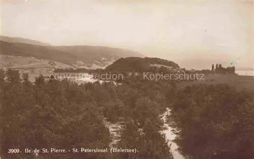 AK / Ansichtskarte St_Petersinsel_Sankt_Petersinsel_Erlach_BE Panorama Blick ueber die Insel 