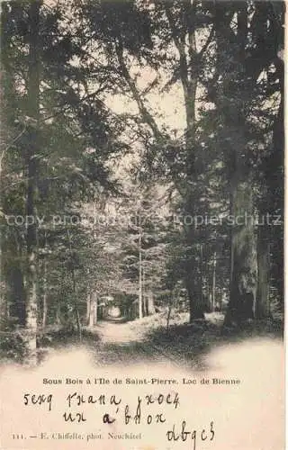 AK / Ansichtskarte Erlach_Bielersee_BE Sous Bois a l Ile de Saint Pierre Lac de Bienne St. Petersinsel 