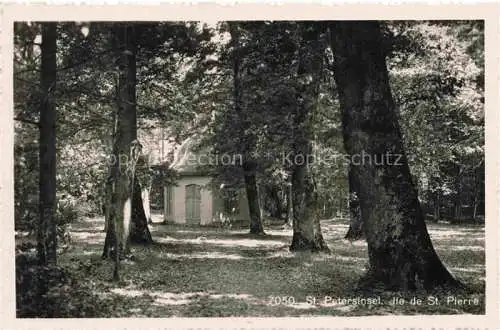 AK / Ansichtskarte Erlach_Bielersee_BE Kapelle auf der St. Petersinsel Ile de Saint Pierre 