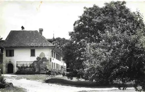 AK / Ansichtskarte Erlach_Bielersee_BE Restaurant Hotel St. Petersinsel 