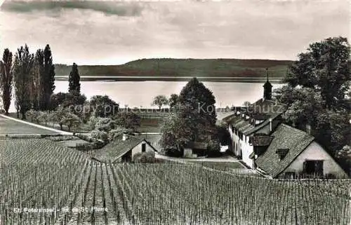 AK / Ansichtskarte Erlach_Bielersee_BE Auf der St. Petersinsel Ile de St. Pierre 