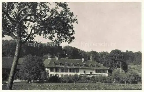 AK / Ansichtskarte Erlach_Bielersee_BE Restaurant Hotel St. Petersinsel 