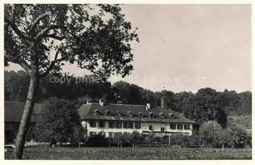 AK / Ansichtskarte Erlach_Bielersee_BE Restaurant Hotel St. Petersinsel 