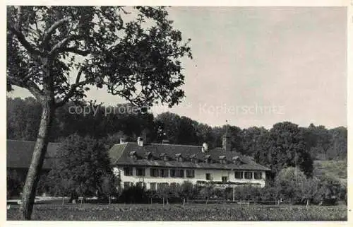 AK / Ansichtskarte Erlach_Bielersee_BE Restaurant Hotel St. Petersinsel 