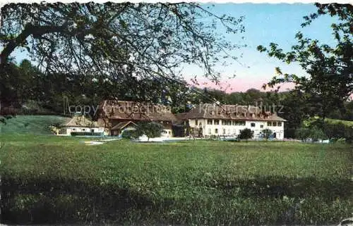 AK / Ansichtskarte Erlach_Bielersee_BE Restaurant Hotel St. Petersinsel 