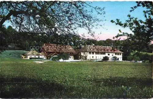 AK / Ansichtskarte Erlach_Bielersee_BE Restaurant Hotel St. Petersinsel 