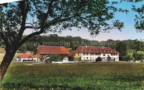 AK / Ansichtskarte Erlach_Bielersee_BE Restaurant Hotel St. Petersinsel 