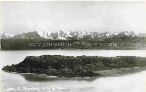 AK / Ansichtskarte Erlach_Bielersee_BE Panorama St. Petersinsel Ile de Saint Pierre Alpen 