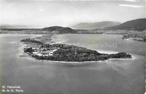AK / Ansichtskarte Erlach_Bielersee_BE Panorama St. Petersinsel Ile de Saint Pierre Alpen 