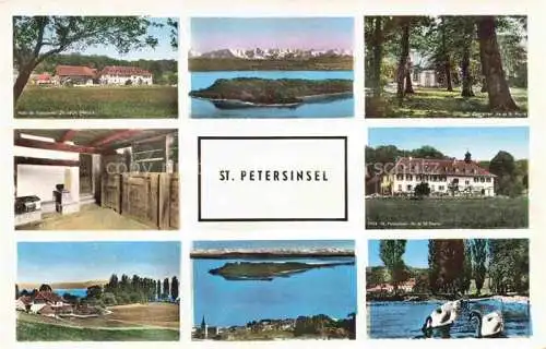 AK / Ansichtskarte Erlach_Bielersee_BE St. Petersinsel Hotel Restaurant Schwaene Alpen 