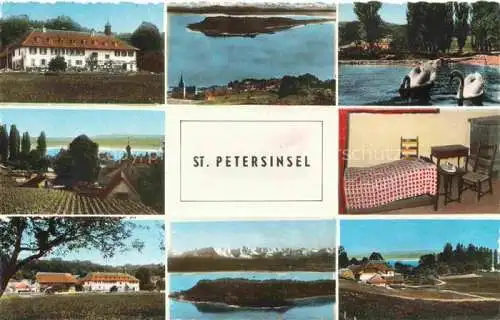 AK / Ansichtskarte Erlach_Bielersee_BE St. Petersinsel Hotel Restaurant Schwaene Alpen 
