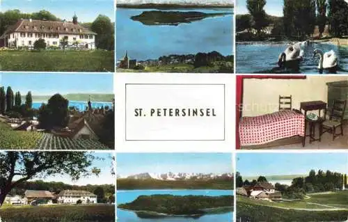 AK / Ansichtskarte Erlach_Bielersee_BE St. Petersinsel Hotel Restaurant Schwaene Alpen 
