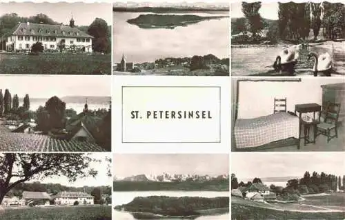 AK / Ansichtskarte Erlach_Bielersee_BE St. Petersinsel Hotel Restaurant Schwaene Alpen 