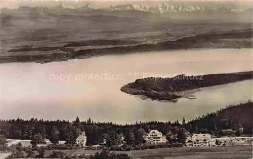 AK / Ansichtskarte Erlach_Bielersee_BE Panorama St. Petersinsel Alpen Ile de Saint Pierre 