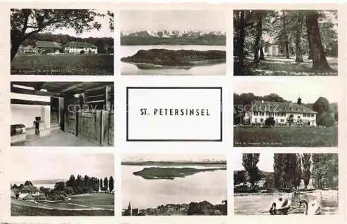 AK / Ansichtskarte Erlach_Bielersee_BE St. Petersinsel Hotel Restaurant Alpen Ile de Saint Pierre 