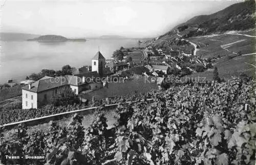 AK / Ansichtskarte Twann_Nidau_BE Panorama Weinberge Blick auf Bielersee 