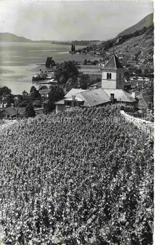 AK / Ansichtskarte Twann_Nidau_BE Panorama Weinberge Blick auf Bielersee 