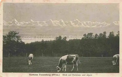 AK / Ansichtskarte Twannberg_Nidau_BE Beim Kurhaus Viehweide Blick auf Bielersee und Alpen 