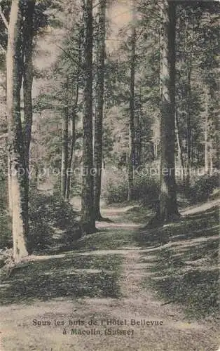 AK / Ansichtskarte Macolin_sur_Bienne_Biel_BE Sous les bois de l Hotel Bellevue 