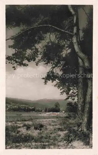 AK / Ansichtskarte Nidau_Bielersee_Lac_de_Bienne_BE Partie am Bielersee 