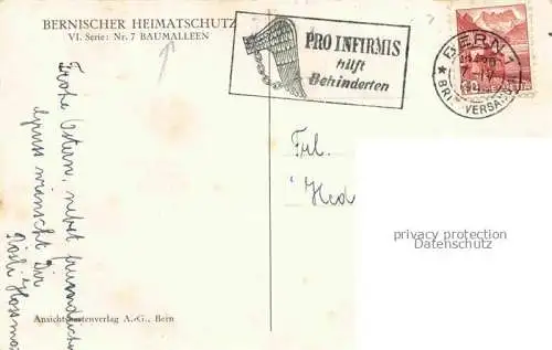 AK / Ansichtskarte Nidau_Bielersee_Lac_de_Bienne_BE Baumallee Birnbaeume Nussbaeume 