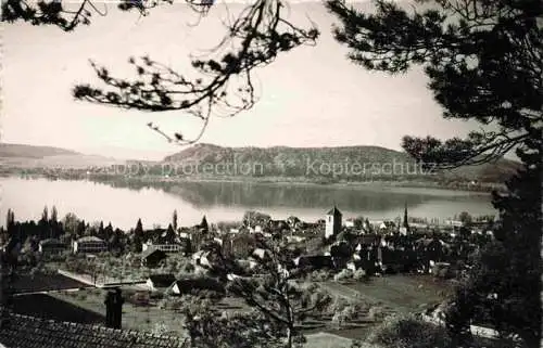 AK / Ansichtskarte La_Neuveville_Bielersee_Preles_BE Vue generale et le lac 