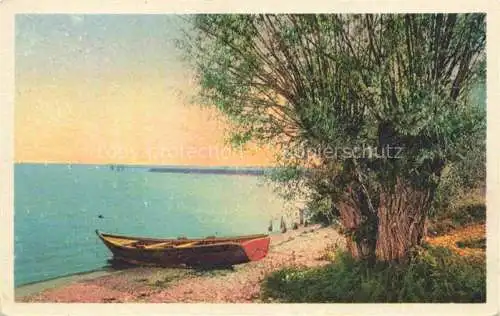 AK / Ansichtskarte Bielersee_Lac_de_Bienne_BE Uferpartie am See Badestrand Boot 