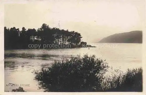 AK / Ansichtskarte Biel_Bienne_BE Partie am Bielersee 