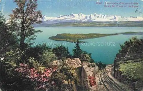AK / Ansichtskarte Gleresse_Ligerz_Bielersee_BE Panorama Ile de Saint Pierre et les Alpes 