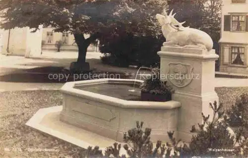 AK / Ansichtskarte Walzenhausen_Appenzell_AR Dorfplatzbrunnen 