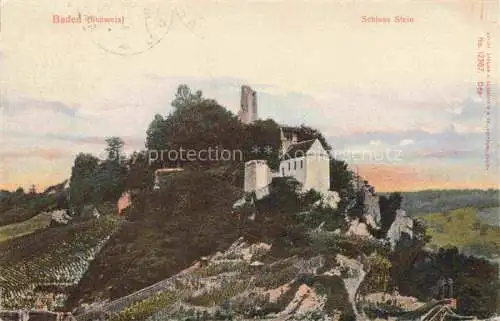 AK / Ansichtskarte BADEN__AG_(Schweiz) Schloss Stein 