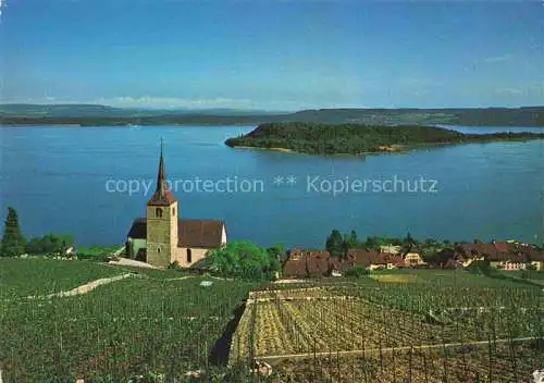 AK / Ansichtskarte Ligerz_Bielersee_BE Panorama Blick auf St. Petersinsel 