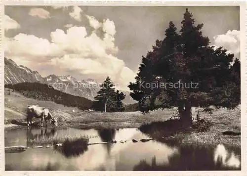 AK / Ansichtskarte San_Bernardino_1630m_Moesa_GR Partie am Gareda See Almvieh Alpen 