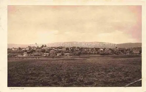 AK / Ansichtskarte Taeuffelen_BE Panorama 