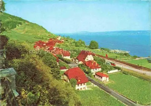 AK / Ansichtskarte Twann_Nidau_BE Panorama Blick auf den see 