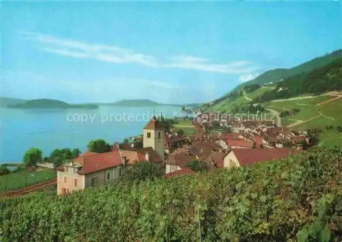 AK / Ansichtskarte Twann_Nidau_BE Panorama Blick auf den See Weinberge 